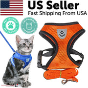 Cat wearing a blue harness with an orange harness and leash on a white background, featuring 'US Seller' text and pet-friendly icons.