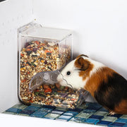 Automatic Clear Plastic Pet Food Dispenser for Hamsters