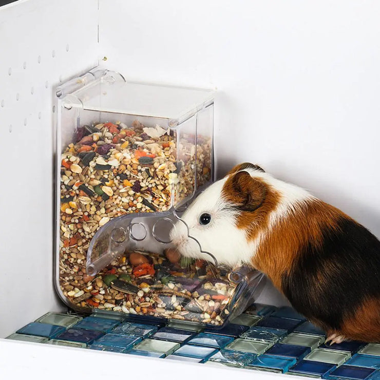 Automatic Clear Plastic Pet Food Dispenser for Hamsters
