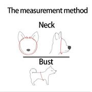Diagram showing the measurement method for a dog's neck and bust with a line drawing of a dog.