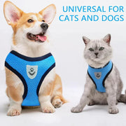 Dog and cat wearing blue harnesses with text 'Universal for Cats and Dogs' on a white background