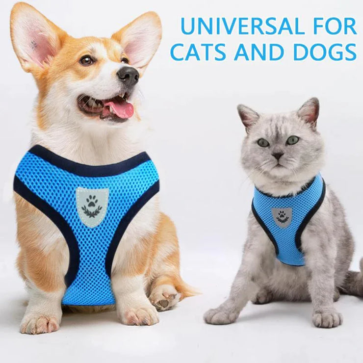Dog and cat wearing blue harnesses with text 'Universal for Cats and Dogs' on a white background