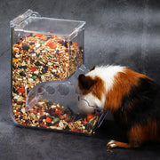 Automatic Clear Plastic Pet Food Dispenser for Hamsters