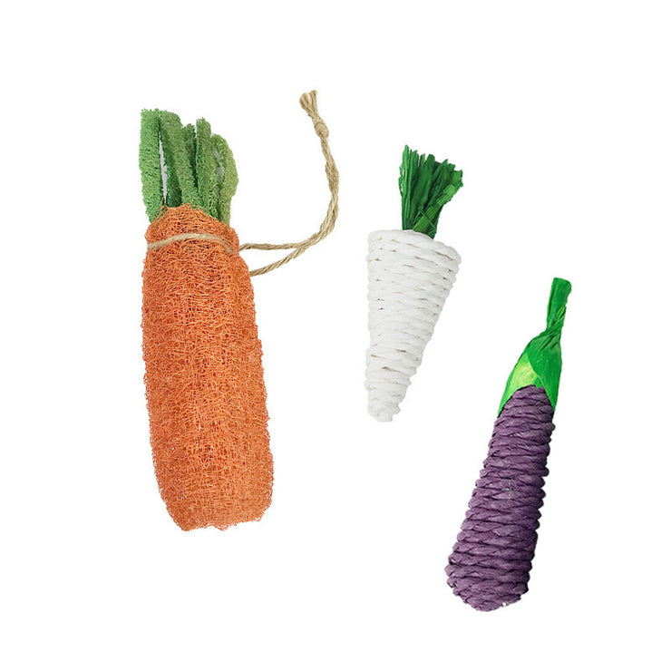 Molar Carrot Toy for Hamsters