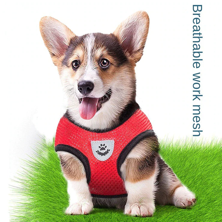 Dog wearing a red harness on a grassy background with text 'Breathable work mesh'.