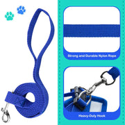 Blue dog leash with heavy-duty hook on a teal background