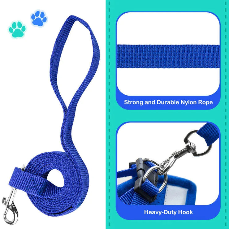 Blue dog leash with heavy-duty hook on a teal background