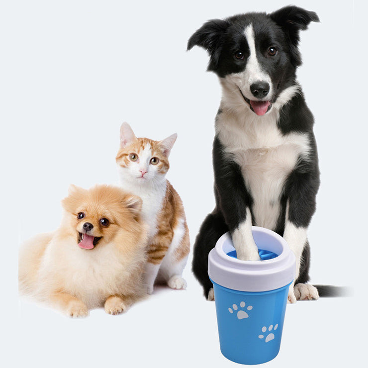 Three pets (two dogs and a cat) with a blue pet water bottle on a white background
