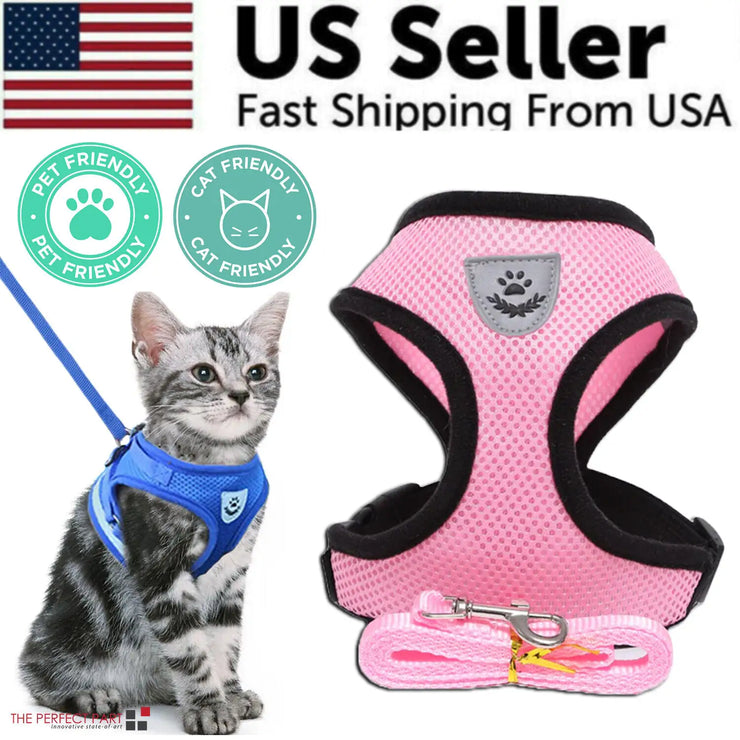 Cat wearing a blue harness with a pink harness and leash on a white background, labeled as a US seller with fast shipping.