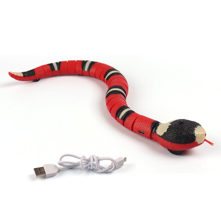 USB Rechargeable Snake Toy