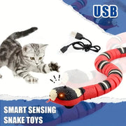 Cat playing with a USB snake toy on a white and blue background