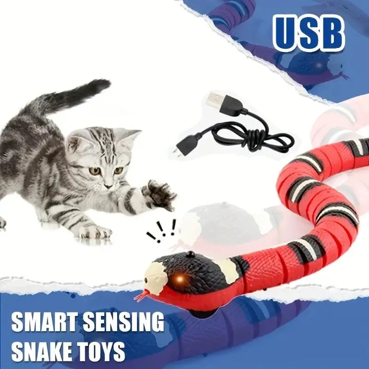 Cat playing with a USB snake toy on a white and blue background