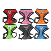 Set of six colorful dog harnesses on a white background