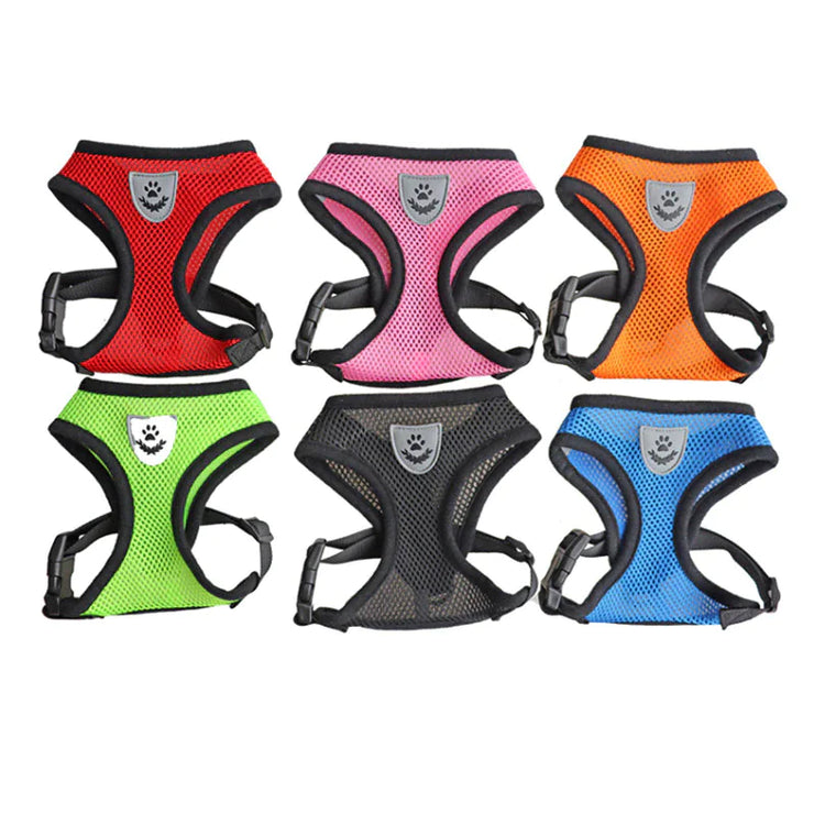 Set of six colorful dog harnesses on a white background