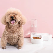 Heart-Shaped Automatic Pet Water Dispenser and Feeder