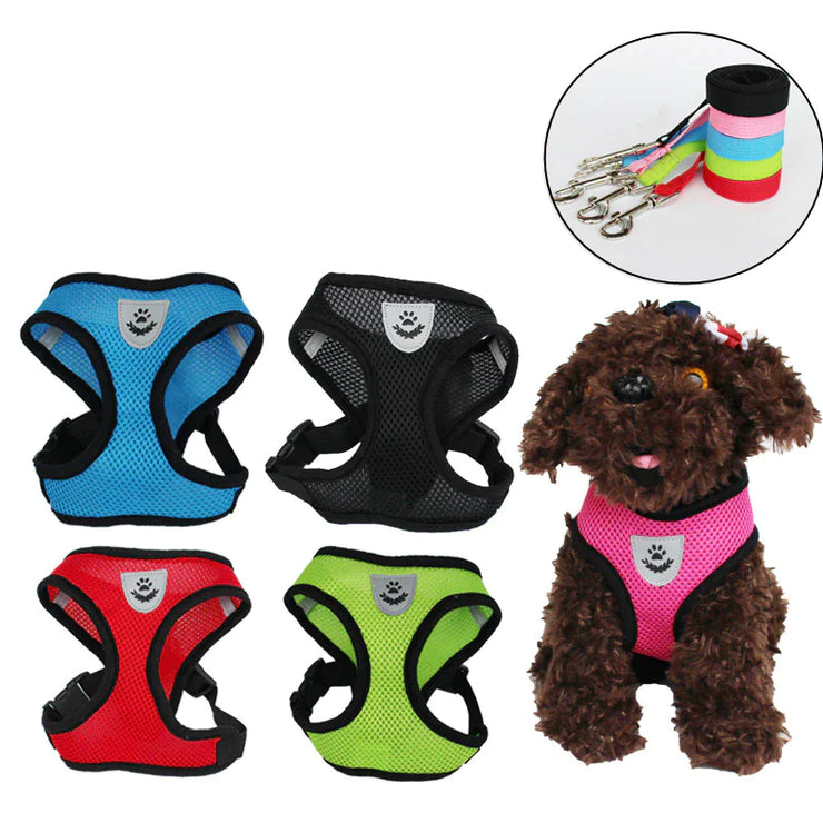 Set of colorful dog harnesses with a small dog wearing a pink harness.