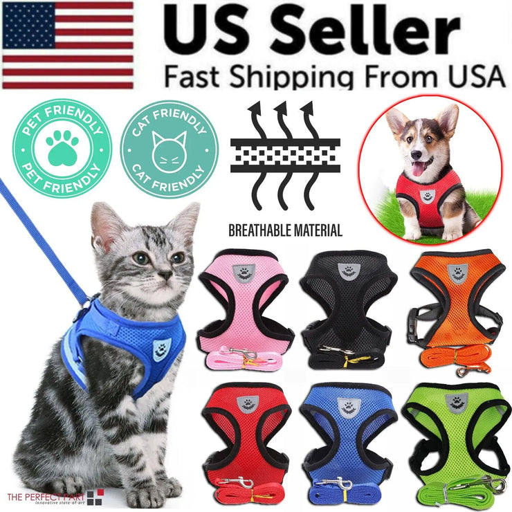 Cat wearing a blue harness with various color options displayed below, featuring a US seller banner.
