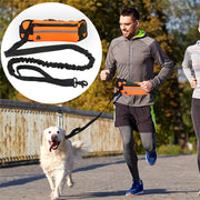 Pet Purse Leash